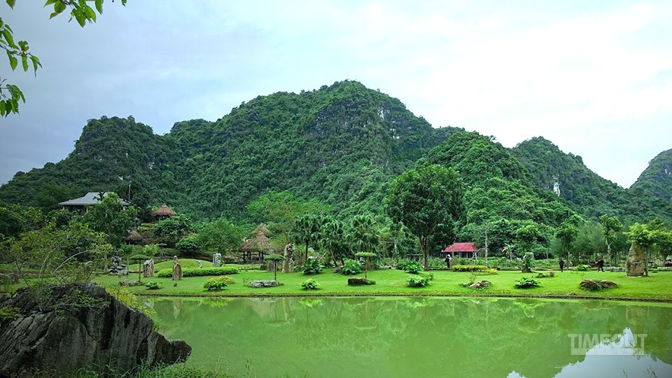 Hoa nở bên đời ảnh 1